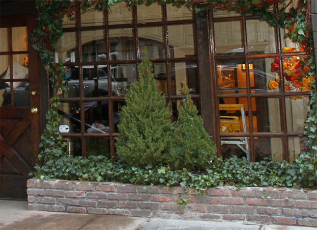 Lady GaGa otwiera własną restaurację! (FOTO)