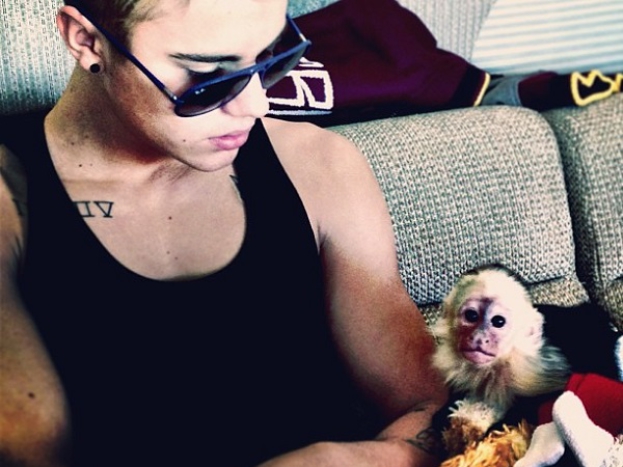 Bieber: ZABRALI MI MAŁPKĘ!