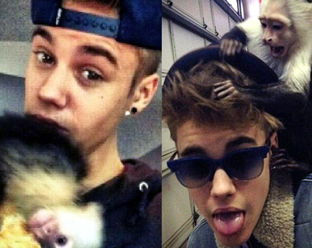 Bieber: ZABRALI MI MAŁPKĘ!